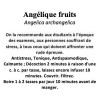 Angélique Fruits 100gr