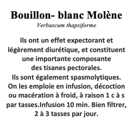 BOUILLON BLANC 100GR