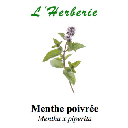 MENTHE POIVREE FE ENT 100GR