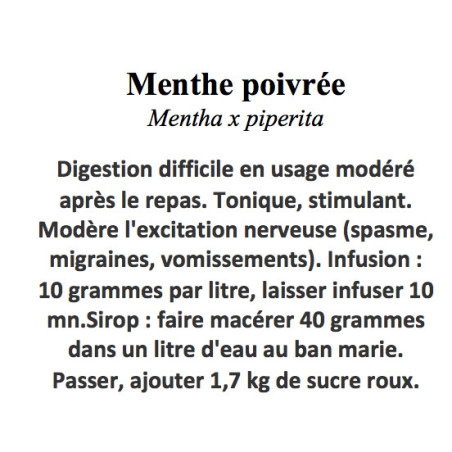 MENTHE POIVREE FE ENT 100GR