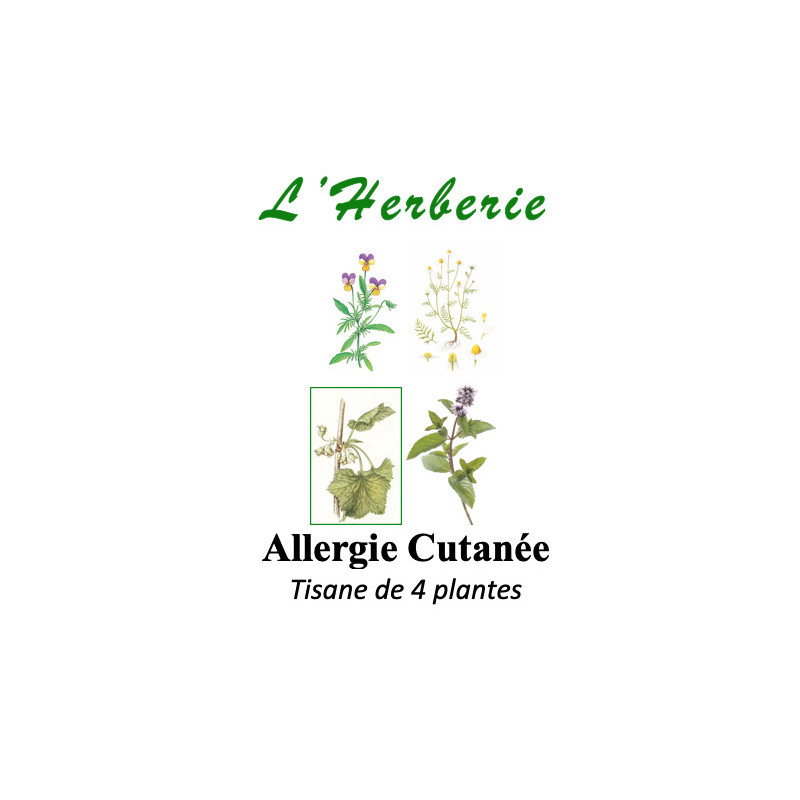 Allergie Cutanée Tisane de 4 plantes 100g