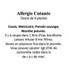 Allergie Cutanée Tisane de 4 plantes 100g