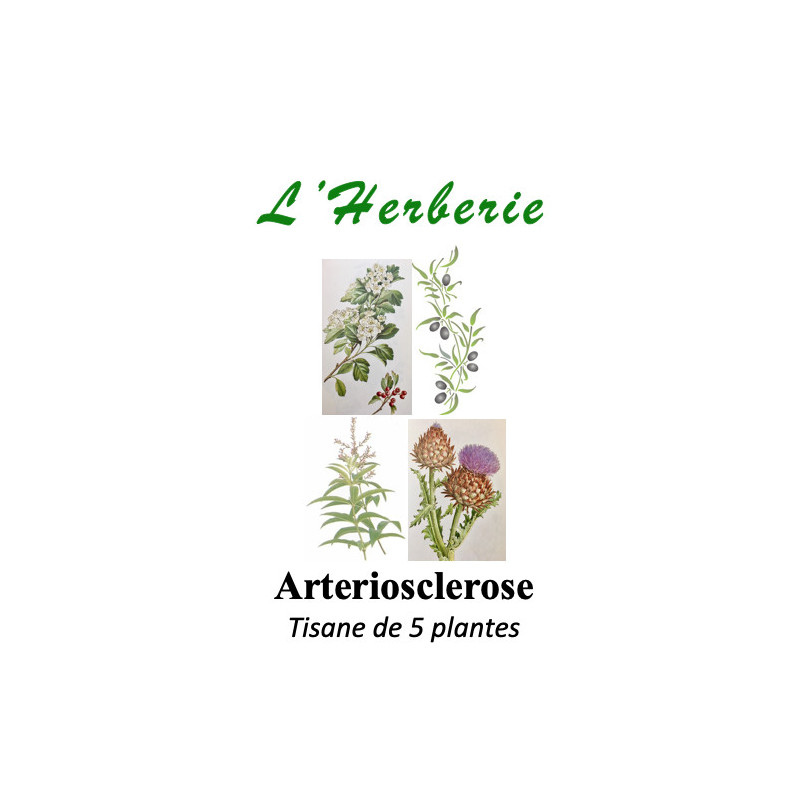 ARTERIOSCLEROSE TISANE DE 5 PLANTES 100g