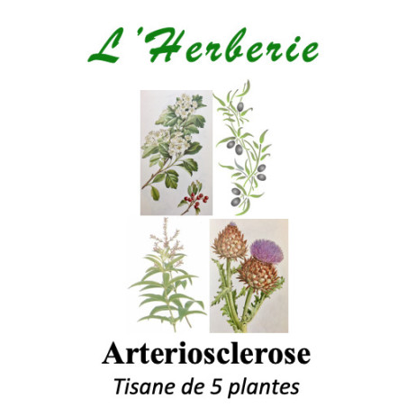 ARTERIOSCLEROSE TISANE DE 5 PLANTES 100g
