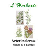 ARTERIOSCLEROSE TISANE DE 5 PLANTES 100g