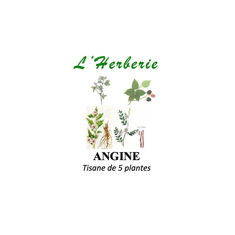 ANGINE Tisane de 5 plantes 100g