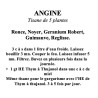 Tisane de 5 Plantes – Gorge & équilibre (anciennement “Angine”) – 100 g