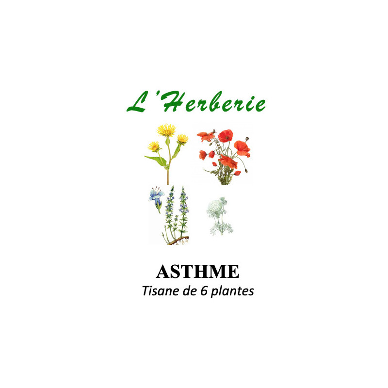 ASTHME Tisane de 6 plantes 100g