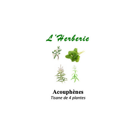 Acouphènes Tisane de 4 plantes 100g