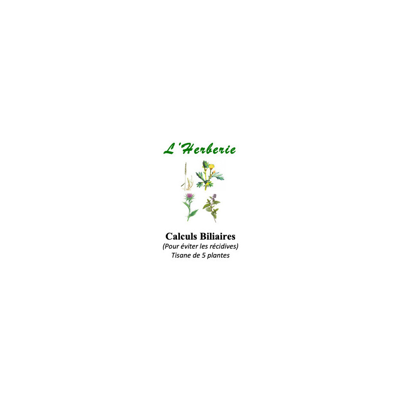 CALCULS BILIAIRES TISANE DE DE 5 PLANTES 100g