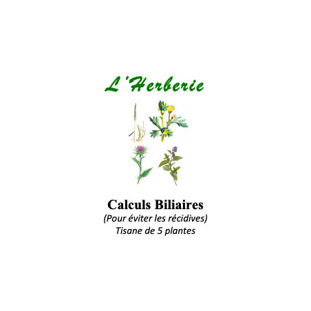 CALCULS BILIAIRES TISANE DE DE 5 PLANTES 100g