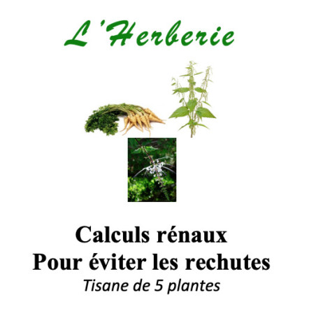 Calculs rénaux Pour éviter les rechutes Tisane de 5 plantes 100gr
