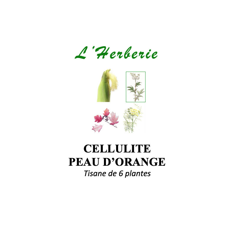 CELLULITE PEAU D'ORANGE TISANE DE 6 PLANTES 100g