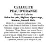 CELLULITE PEAU D'ORANGE TISANE DE 6 PLANTES 100g