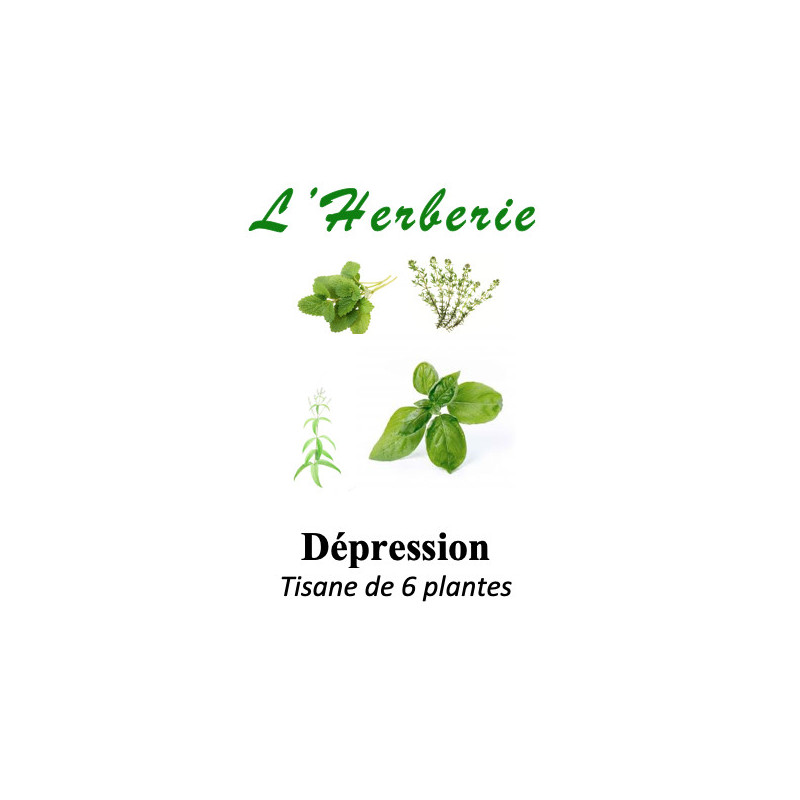 DEPRESSION LEGERE A MODEREE TISANE DE 6 PLANTES 100g