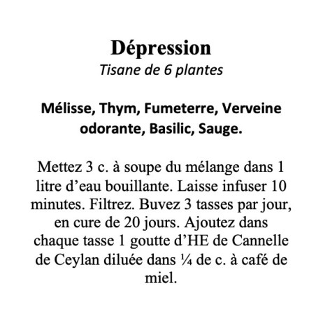DEPRESSION LEGERE A MODEREE TISANE DE 6 PLANTES 100g
