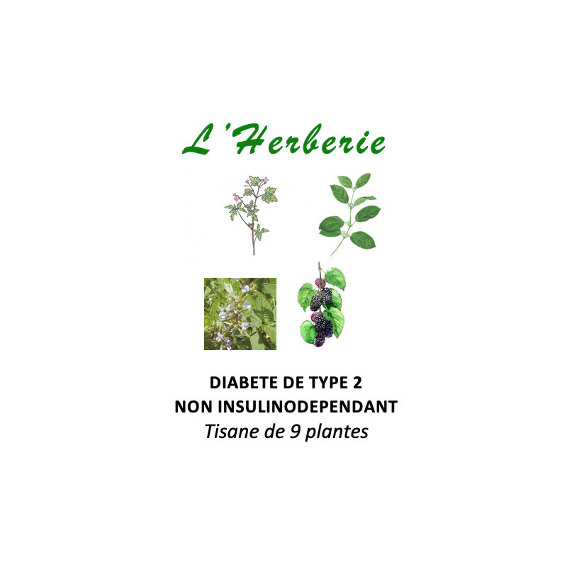 DIABETE DE TYPE 2 NON INSULINODEPENDANT Tisane de 9 plantes 100gr