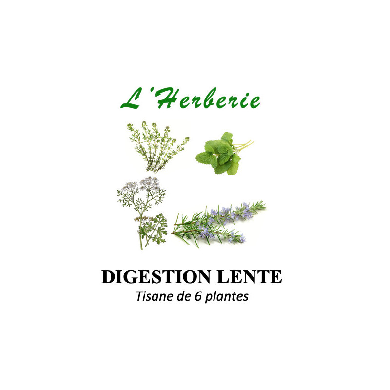 Digestion Lente Tisane de 6 plantes