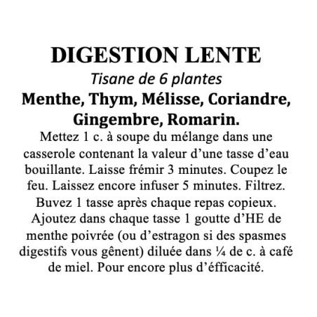 Digestion Lente Tisane de 6 plantes