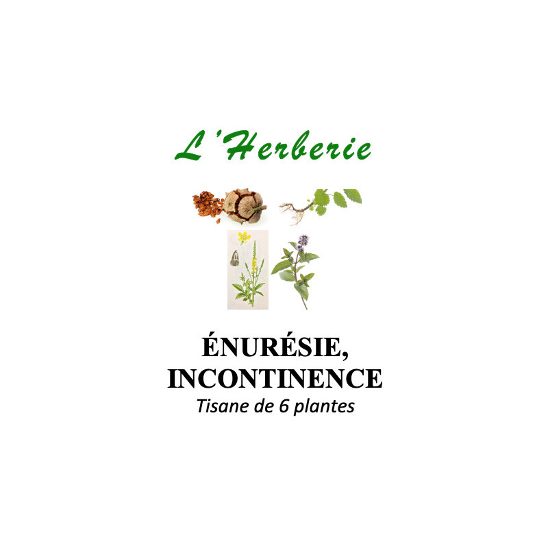 ÉNURÉSIE, INCONTINENCE Tisane de 5 plantes 100g
