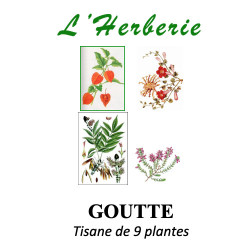 Tisane de 9 Plantes – Drainage & légèreté (anciennement “Goutte”) – 100 g