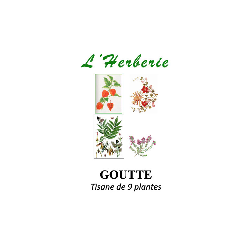 Tisane de 9 Plantes – Drainage & légèreté (anciennement “Goutte”) – 100 g