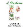 Tisane de 9 Plantes – Drainage & légèreté (anciennement “Goutte”) – 100 g