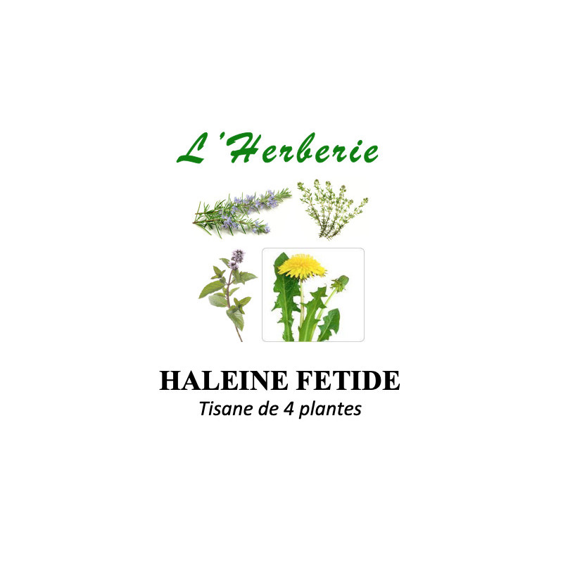 HALEINE FETIDE TISANE DE 4 PLANTES 100g