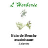 BAIN DE BOUCHE ASSAINISSANT 3 PLANTES 100g