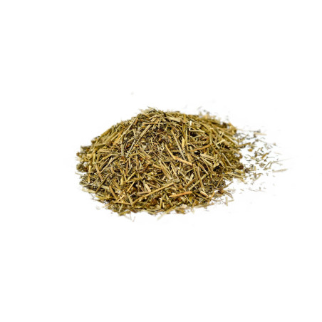 Chrysanthellum Chrysanthellum americanum partie aérienne 100 gr