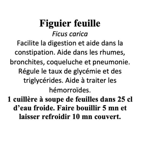 Figuier Feuille 100gr