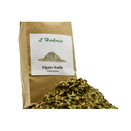 Figuier – Feuilles (100 g) – Ficus carica