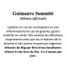 Guimauve Sommité 100 gr  Althaea officinalis