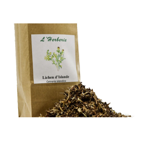 Lichen d’Islande – Thalle (100 g) – Cetraria islandica