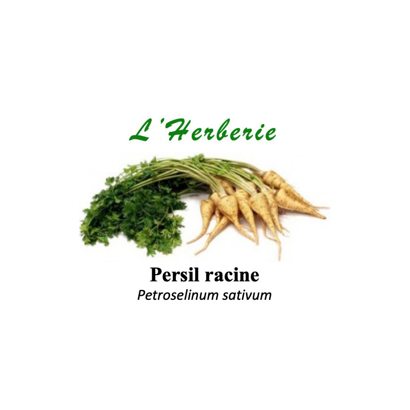 Persil racine  100 gr