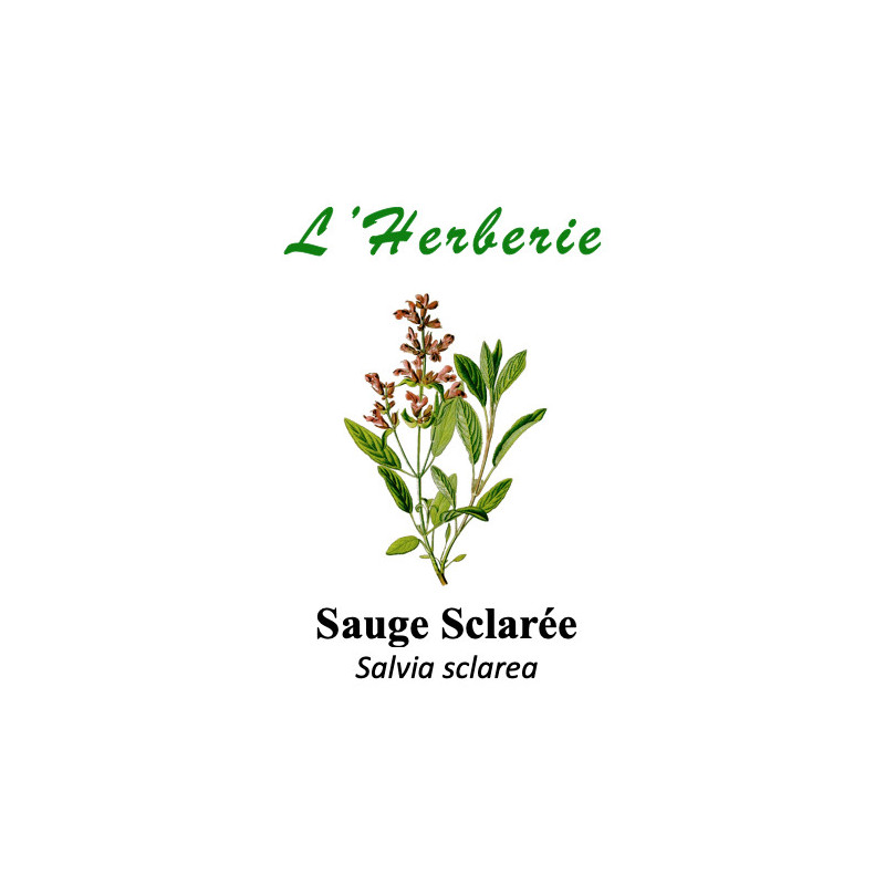 Sauge Sclarée 100GR