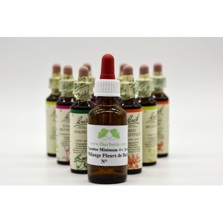 Fleurs de Bach 42 Migraines  Mélange Bio L'herberie