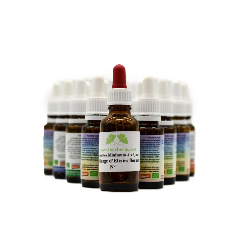Fleur de Bach 72 Constipation mélange Bio