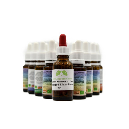 Fleur de Bach n°77 – Hypersensibilité & équilibre émotionnel (anciennement « Hypersensibilité – excès de réactions émotives »)