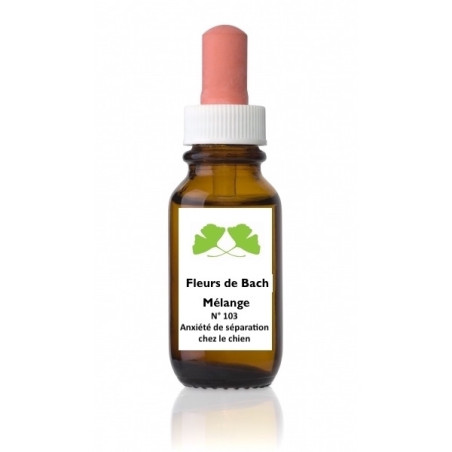 Fleur de Bach n°103 – Sérénité & confiance (anciennement « Anxiété de séparation du chien ») – Mélange avec Biofloral.