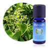 HUILE ESSENTIELLE  Cannelle extra, feuille  Cinnamomum verum  Désignation anglaise : Cinnamon