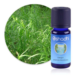HUILE ESSENTIELLE  Estragon Artemisia dracunculus