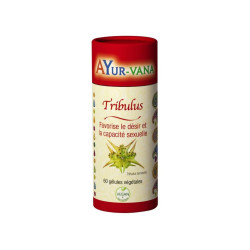 TRIBULUS TERRESTRIS 60 GELULES VEGETALES