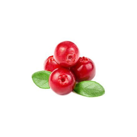 BAIES DE CRANBERRY cranberrie 400 gr