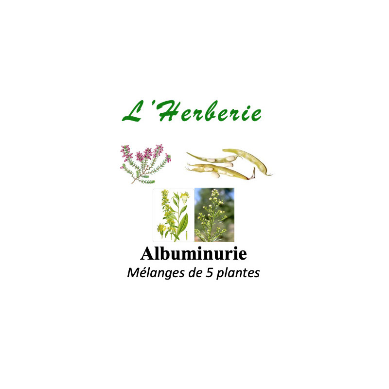 Albuminurie Tisane 100 gr Albuminurie Tisane 100 gr