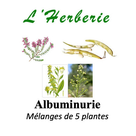 Albuminurie Tisane 100 gr