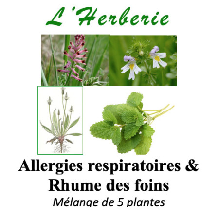 Tisane Allergies respiratoires & Rhume des foins – Mélange de 5 plantes (100 g).