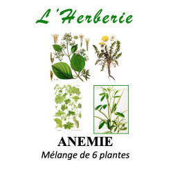 ANEMIE Mélange de 6 plantes 100 gr