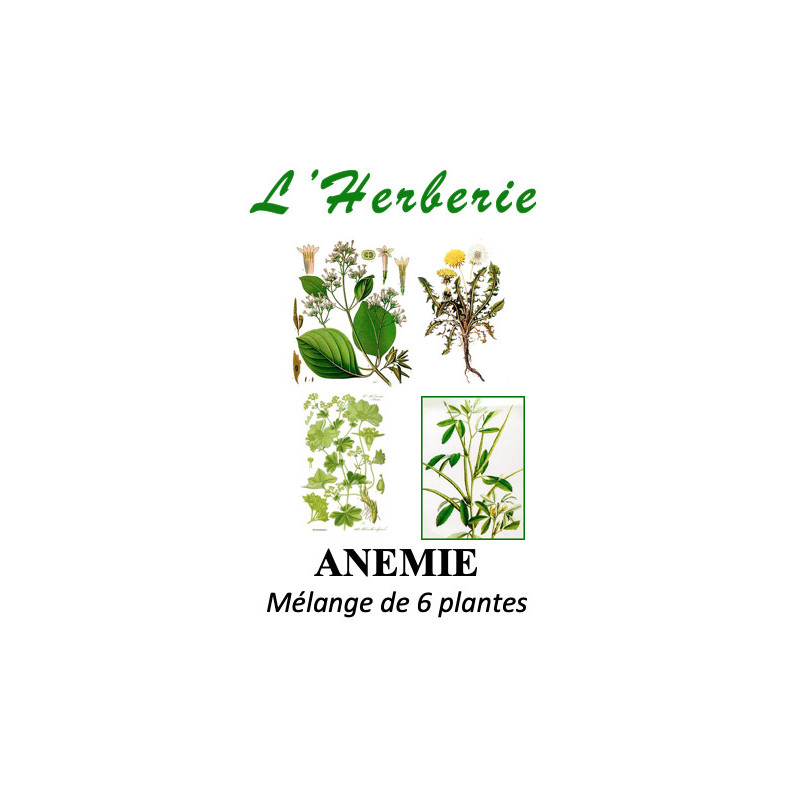 ANEMIE Mélange de 6 plantes 100 gr