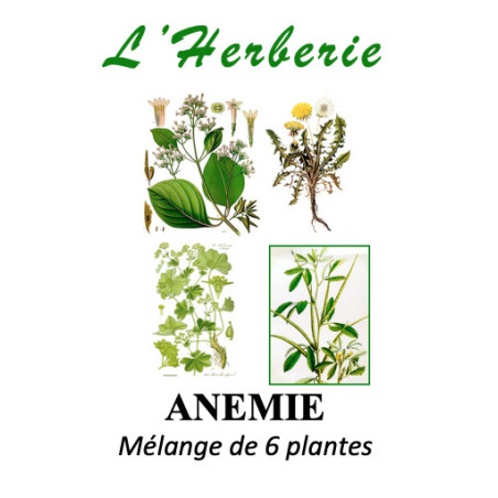 ANEMIE Mélange de 6 plantes 100 gr